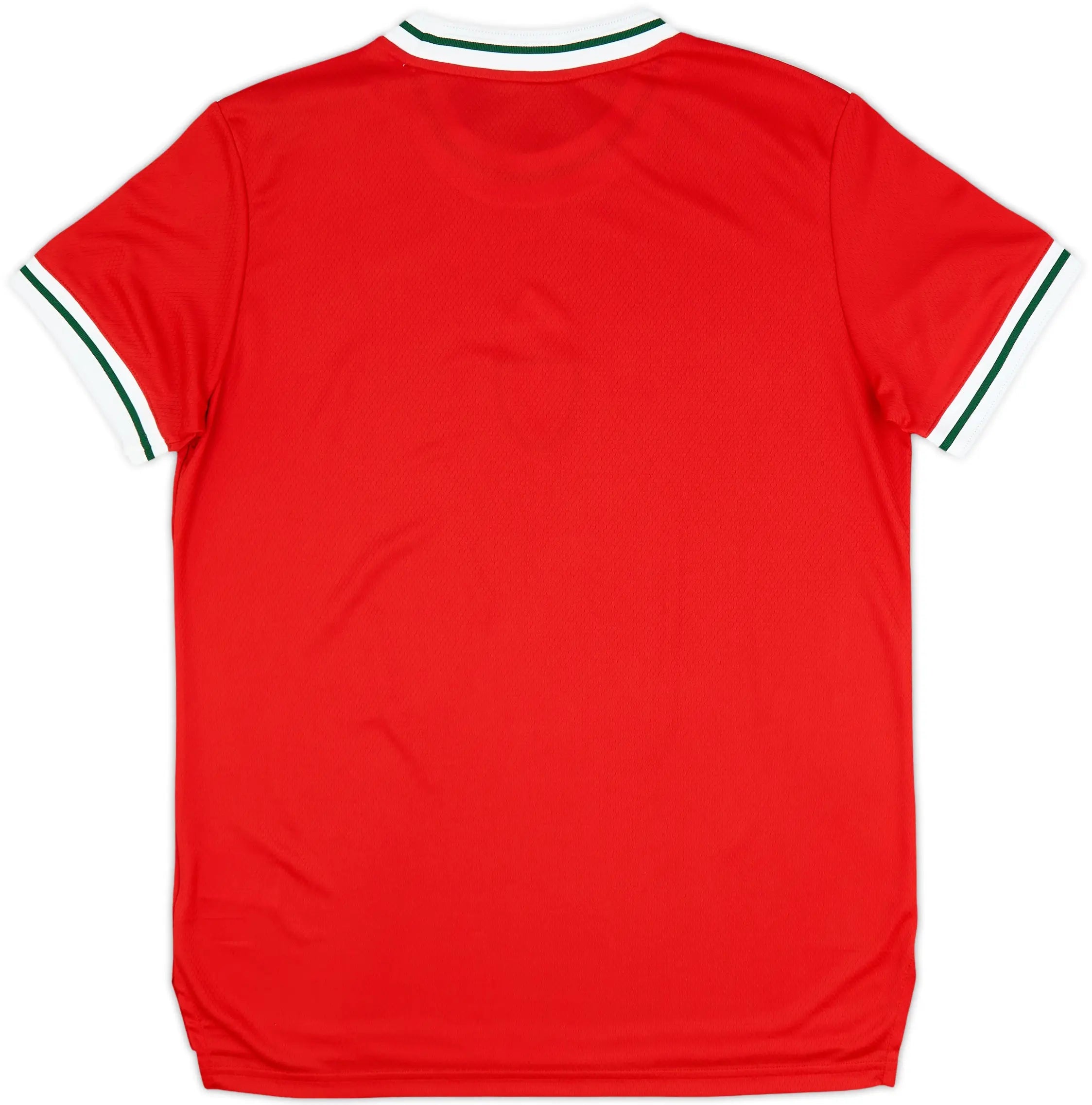 2022-23 Wales Hjemme drakt (Dame)