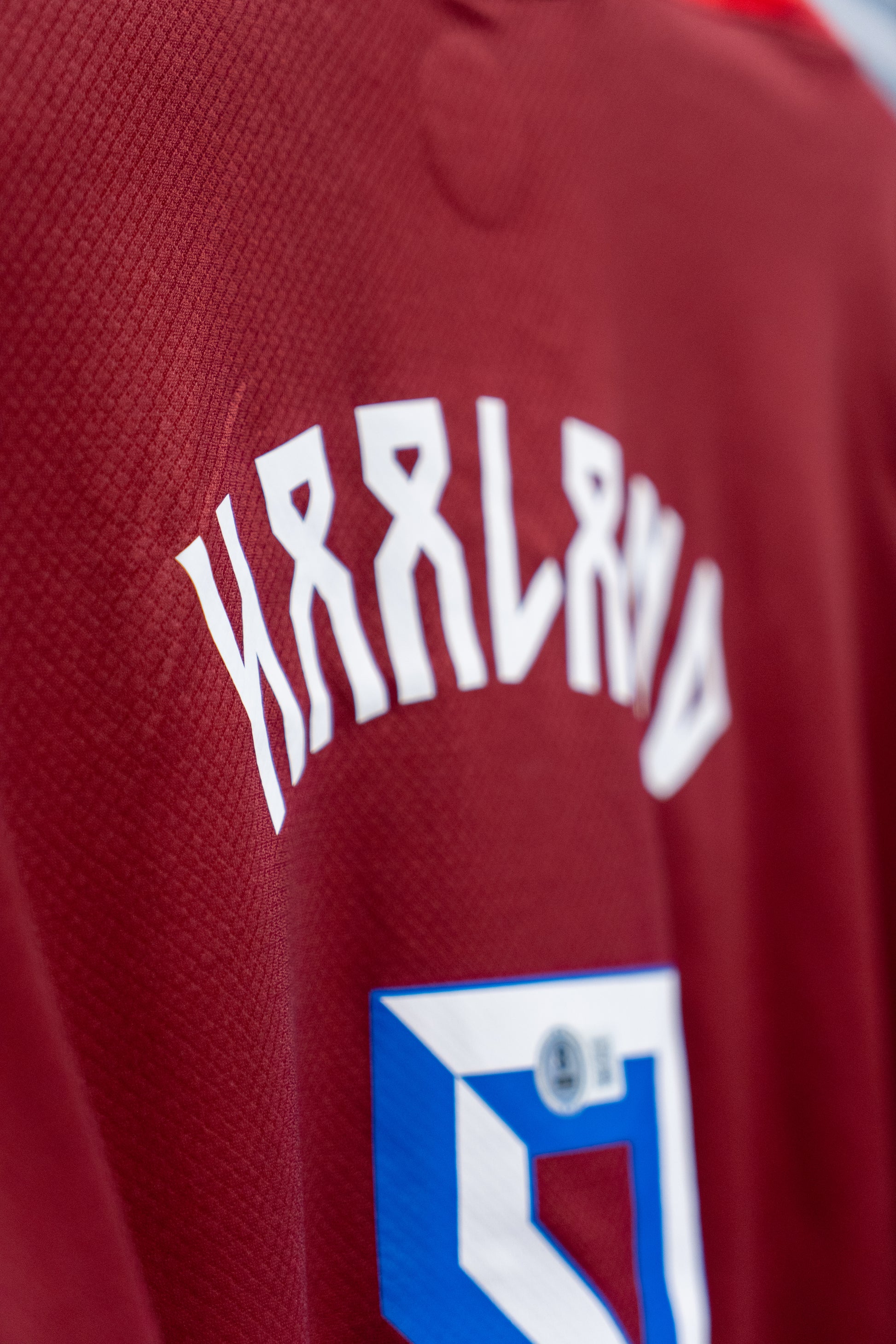 Signert Erling Braut Haaland Norge drakt