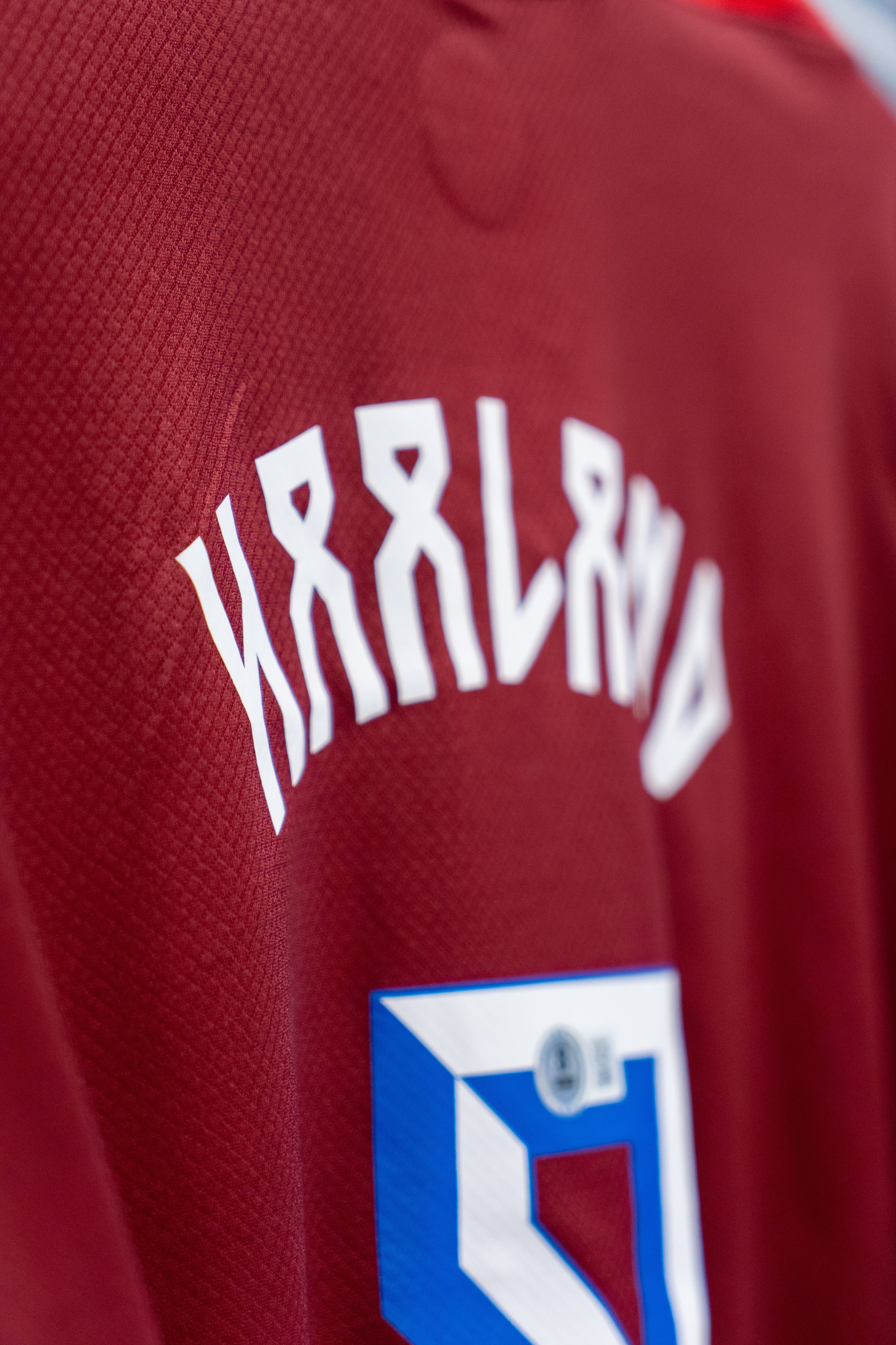 Erling Braut Haaland Signert Norge drakt