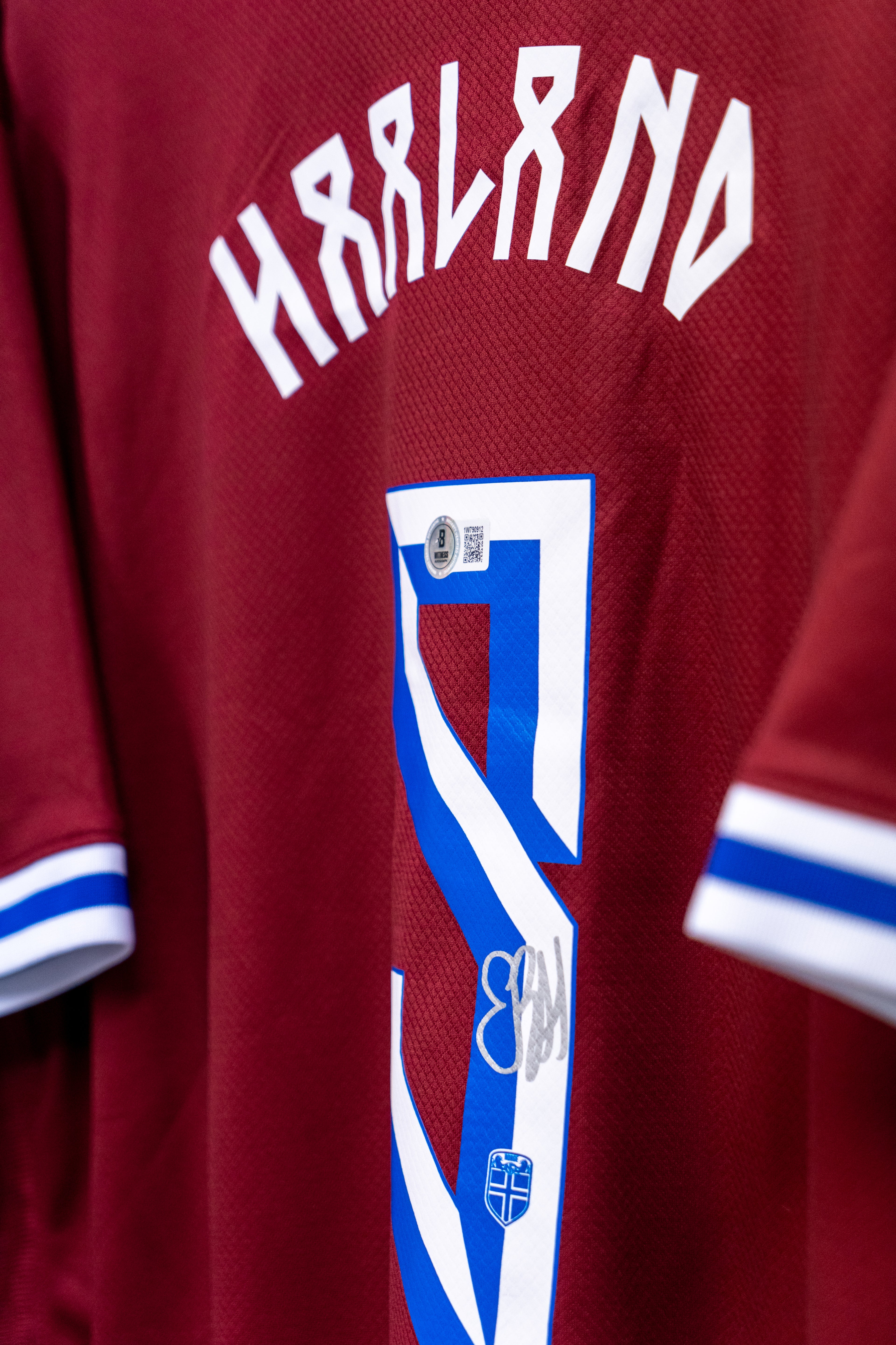 Erling Braut Haaland Signert Norge drakt