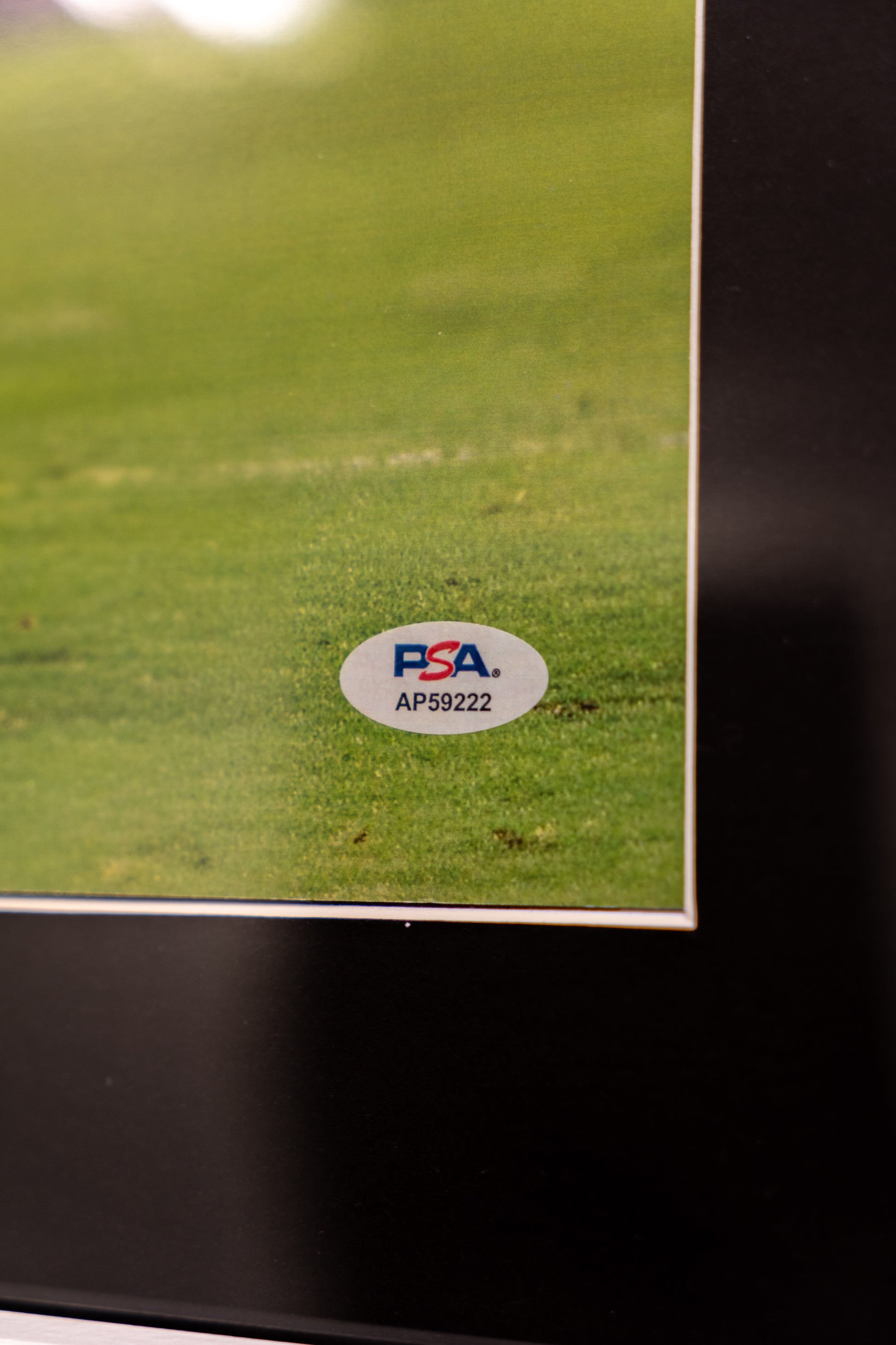 Signert Roberto Carlos bilde